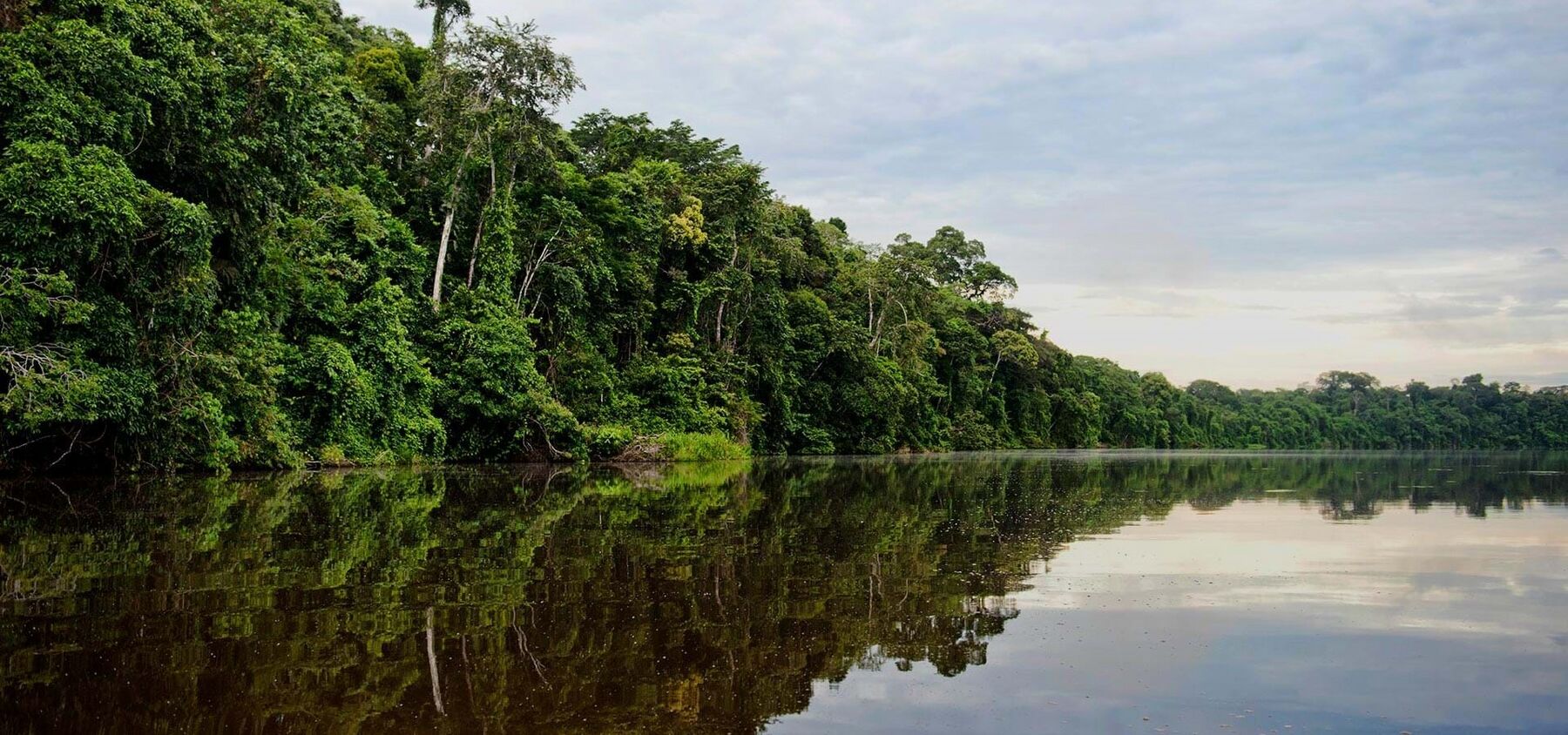 Paisaje amazónico de Madre de Dios