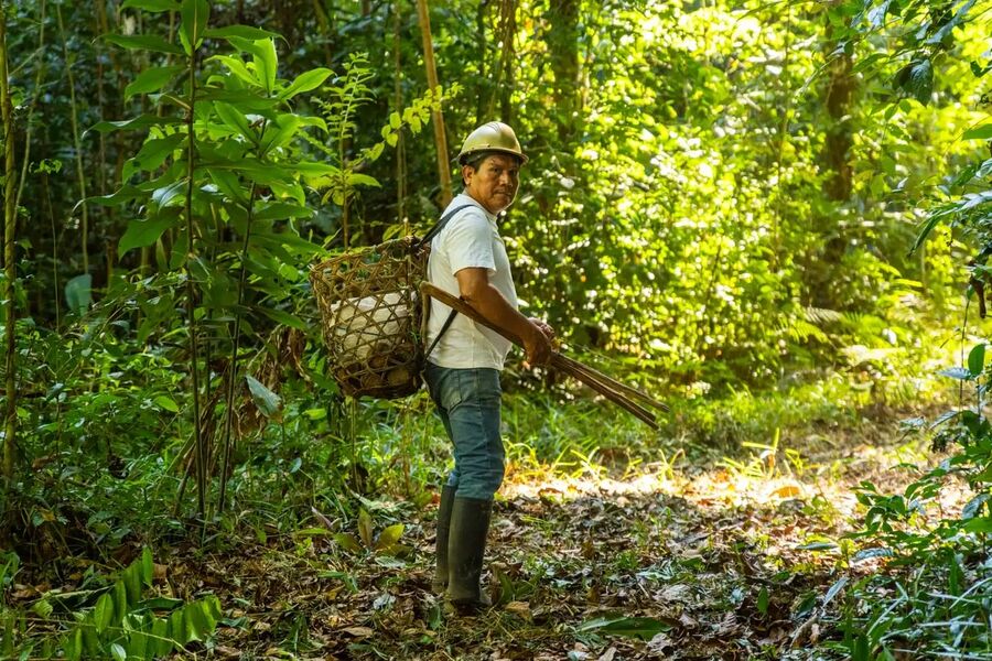 Educación ambiental